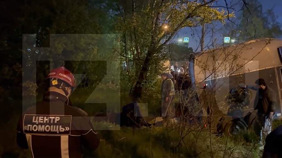 Операция по спасению попавшего под машину лося в Подмосковье началась