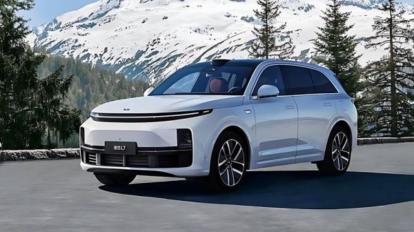 Названо условие для прекращения «серого» импорта автомобилей Lixiang