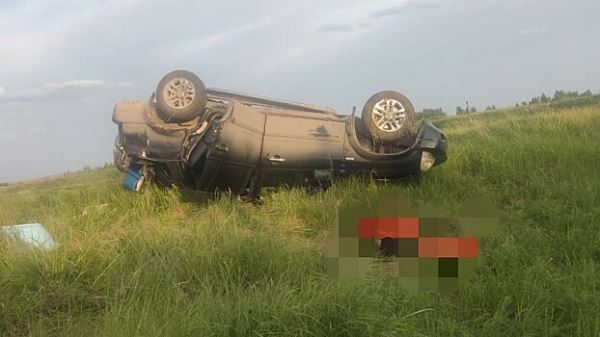 Водитель Suzuki насмерть разбился на трассе в Новосибирской области